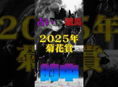 【的中!!】 菊花賞【占いV S競馬】 #競馬占い#的中