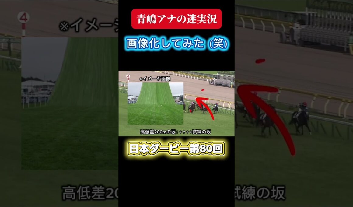真ん中に犬が、、、【迷実況】画像化してみた（笑）第80回日本ダービー #競馬 #東京優駿 #ダービー