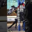 日本競馬史に残る伝説のマイルチャンピオンシップを演じた名馬　#shorts #競馬 #バンブーメモリー