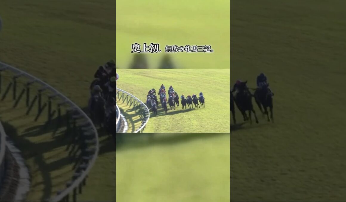 史上初、無敗の牝馬三冠へ。桜花賞、オークス、秋華賞を一度も負けずに駆け抜けた、歴史が動いた瞬間。#秋華賞 #競馬 #名馬 #牝馬三冠 #無敗三冠 #京都競馬場 #競馬好きと繋がりたい #名実況