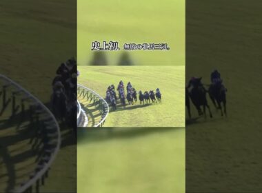 史上初、無敗の牝馬三冠へ。桜花賞、オークス、秋華賞を一度も負けずに駆け抜けた、歴史が動いた瞬間。#秋華賞 #競馬 #名馬 #牝馬三冠 #無敗三冠 #京都競馬場 #競馬好きと繋がりたい #名実況