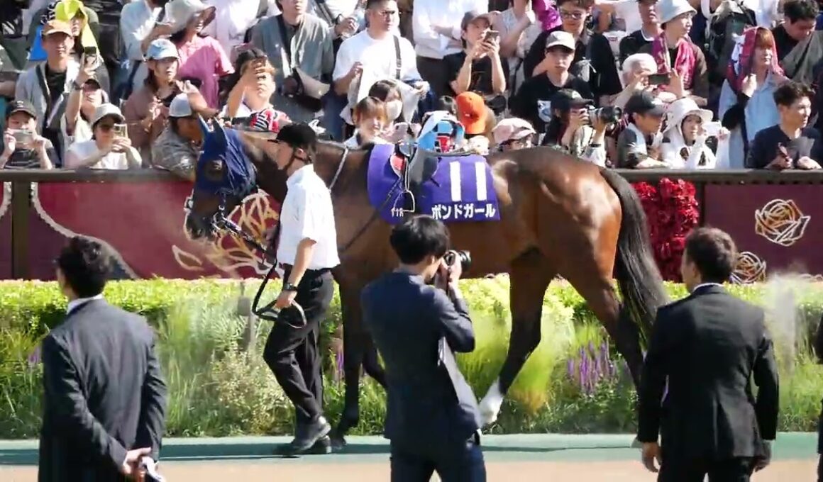 ヴィクトリアマイル2026　パドック映像。　昨年の桜花賞、秋華賞を制し２冠馬エンブロイダリーとオークスを制したカムニャックのライバル対決。　#競馬　#東京競馬場　#G1　#牝馬　