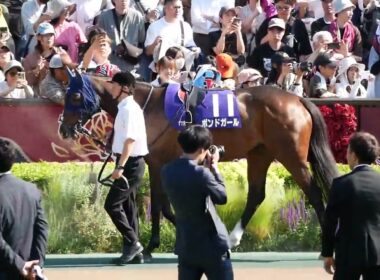 ヴィクトリアマイル2026　パドック映像。　昨年の桜花賞、秋華賞を制し２冠馬エンブロイダリーとオークスを制したカムニャックのライバル対決。　#競馬　#東京競馬場　#G1　#牝馬　