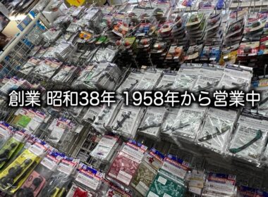 マニアも唸る品揃え！平成を拗らせた大人達へ…老舗のおもちゃ屋全部見せツアー！品薄のミニ四駆のアイテムずらり…！ポケカもプラコロも人気商品目白押し！おもちゃの平野へGO！
