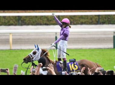 🔥Modren Title🦋【胸アツ神回】優駿牝馬（オークス）騎乗シーンにファン騒然「一生忘れられない瞬間」優駿牝馬（オークス）