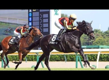 【衝撃】秋華賞の新星が誕生！ラベルセーヌ圧巻の3勝目に騒然「幻のオークス馬だった」「秋華賞が楽しみすぎる」と期待の声続出