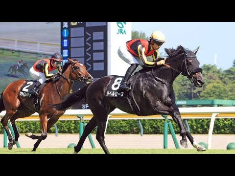 【衝撃】秋華賞の新星が誕生！ラベルセーヌ圧巻の3勝目に騒然「幻のオークス馬だった」「秋華賞が楽しみすぎる」と期待の声続出