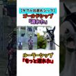 【ダブル出遅れシップ】ゴールドシップ「遅れた」ルーラーシップ「もっと遅れた」 #競馬#horse