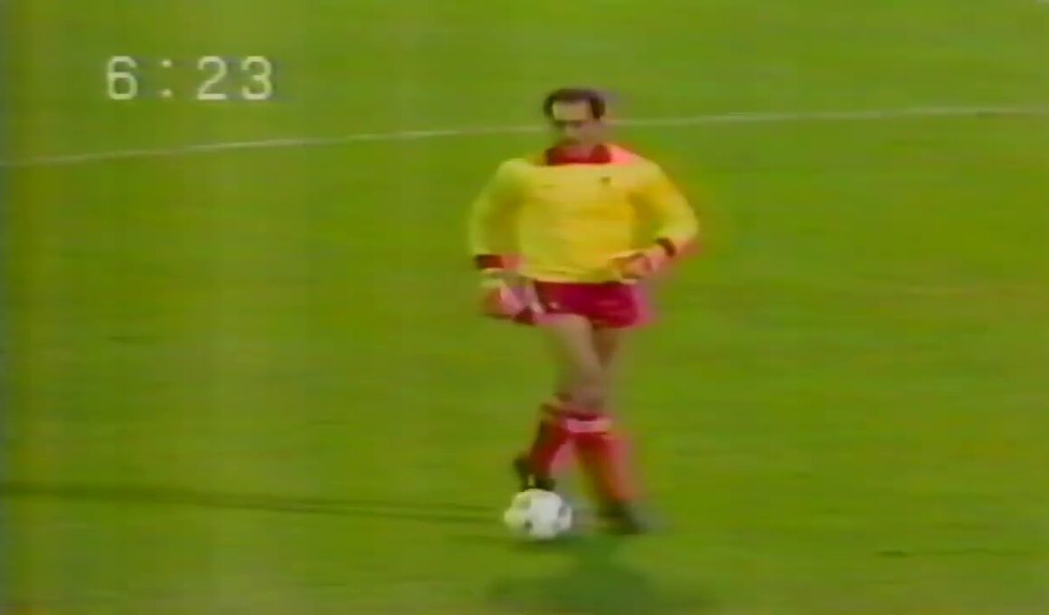 1985 欧州チャンピオンズカップ決勝　ユベントス vs リバプール｜ヘイゼル・スタジアム｜ダイヤモンドサッカー