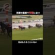 一度も対戦できなかった兄弟。弟は兄の記録を0.1秒だけ超えた #ナリタブライアン #ビワハヤヒデ #菊花賞 #Shorts