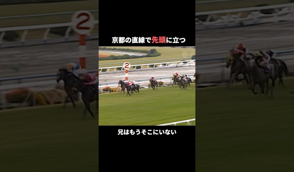 一度も対戦できなかった兄弟。弟は兄の記録を0.1秒だけ超えた #ナリタブライアン #ビワハヤヒデ #菊花賞 #Shorts