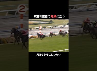 一度も対戦できなかった兄弟。弟は兄の記録を0.1秒だけ超えた #ナリタブライアン #ビワハヤヒデ #菊花賞 #Shorts