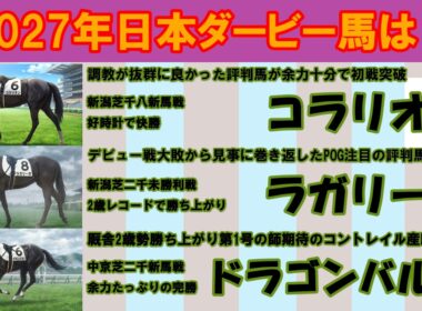 2027年日本ダービー馬は？ #8　先週の新馬戦と未勝利戦を勝ち上がったコラリオン、ラガリーガ、ドラゴンバルドを注目馬として取り上げました。