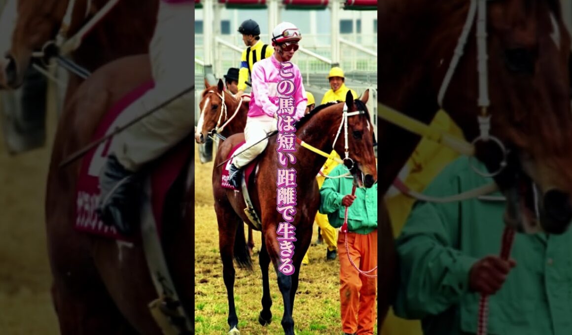 【サクラバクシンオー物語①】「12戦11勝」1200～1400mしか走れなかった馬が、3200mの王者を生んだ