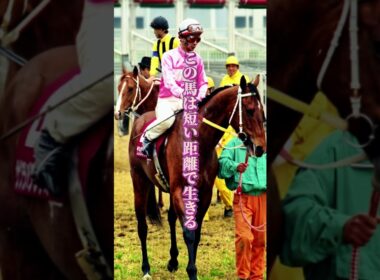 【サクラバクシンオー物語①】「12戦11勝」1200～1400mしか走れなかった馬が、3200mの王者を生んだ