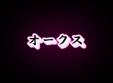 【競馬】優駿牝馬オークス