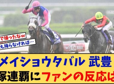 【宝塚記念】「メイショウタバル 武豊 宝塚連覇と2週連続Vにファンの反応は？」に対する競馬に役立つまとめ