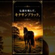時代を駆け抜けた王者──キタサンブラック【競馬】