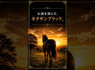 時代を駆け抜けた王者──キタサンブラック【競馬】