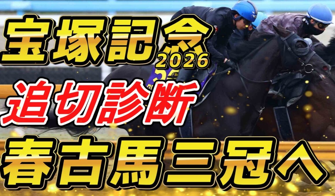 宝塚記念2026　追い切り診断‼　史上屈指の好メンバー‼　動いている馬は！？　元馬術選手のコラム