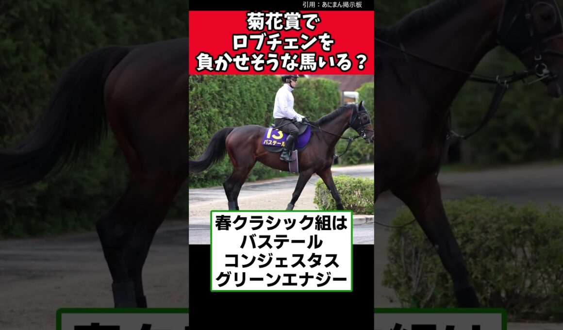 菊花賞でロブチェンを負かせそうな馬いる？【競馬反応集】　#ロブチェン 　#菊花賞