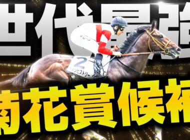 【菊花賞馬候補】過去10年“該当馬ゼロ”…規格外の2600m