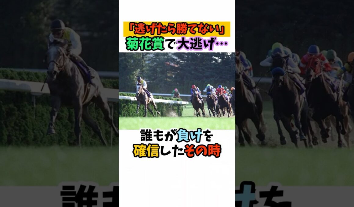 「逃げたら勝てない」菊花賞で大逃げ…誰もが負けを確信したその時 #競馬#horse