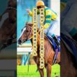 【マヤノトップガン物語①】「ダート1200mで5着」その馬が10か月後、3000mの菊花賞をレコードで勝った