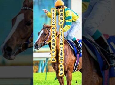 【マヤノトップガン物語①】「ダート1200mで5着」その馬が10か月後、3000mの菊花賞をレコードで勝った