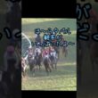 かっこいいタバルになる前の幼いタバルの有馬記念# #競馬 #競馬好き #馬#馬好き#メイショウタバル#武豊#有馬記念