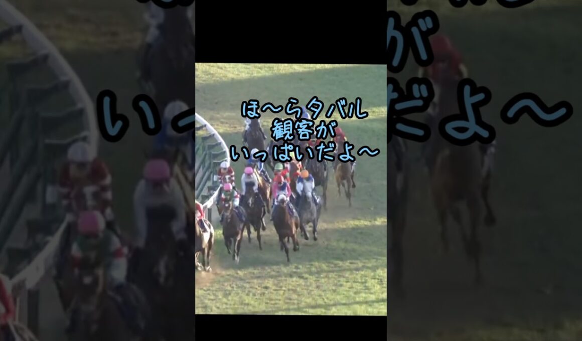 かっこいいタバルになる前の幼いタバルの有馬記念# #競馬 #競馬好き #馬#馬好き#メイショウタバル#武豊#有馬記念