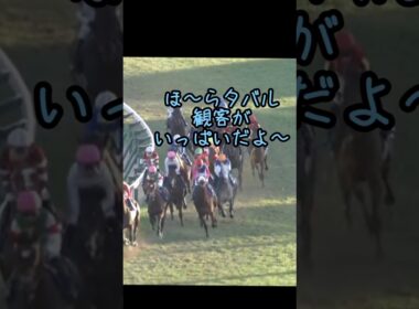 かっこいいタバルになる前の幼いタバルの有馬記念# #競馬 #競馬好き #馬#馬好き#メイショウタバル#武豊#有馬記念