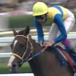 【札幌記念1997年】武豊エアグルーヴがG2格上げ初年度の札幌記念を快勝　札幌競馬場に歴代2位の49,736人