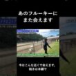 【競馬ファン必見】菊花賞出走馬・フルーキーと再会  #大江運送tv  #競走馬輸送 #tcc #引退競走馬 #引退馬支援 #メタセコイアと馬の森