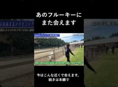 【競馬ファン必見】菊花賞出走馬・フルーキーと再会  #大江運送tv  #競走馬輸送 #tcc #引退競走馬 #引退馬支援 #メタセコイアと馬の森