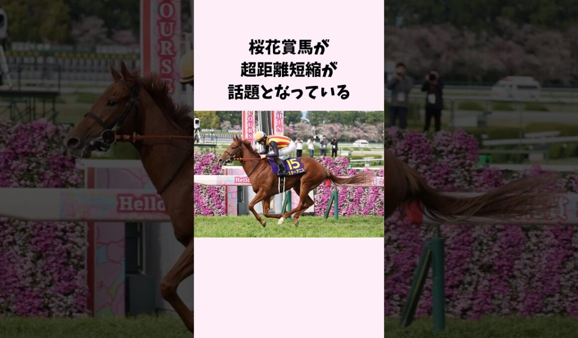 桜花賞馬が超距離短縮が話題となっている　#競馬　#競馬予想　#スターアニス　#shorts