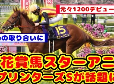 【競馬】桜花賞馬スターアニス 秋華賞に出走せずスプリンターズSに出走が話題に！！【競馬反応集】