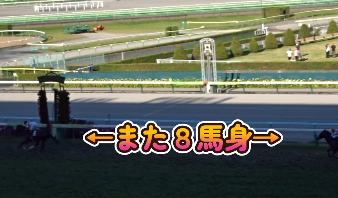 【阿寒湖特別2026】ダノンヒストリーまた8馬身差圧勝！菊花賞へ一気に名乗り