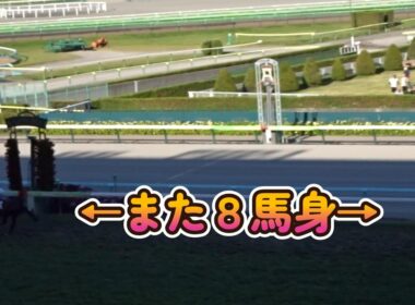【阿寒湖特別2026】ダノンヒストリーまた8馬身差圧勝！菊花賞へ一気に名乗り