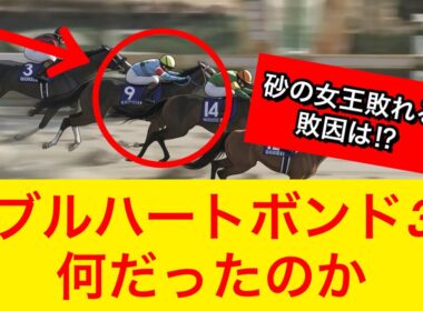 【フェブラリーステークス2026】ダブルハートボンドがコスタノヴァらに差され3着に敗れる…敗因は何だったのか【競馬の反応集】