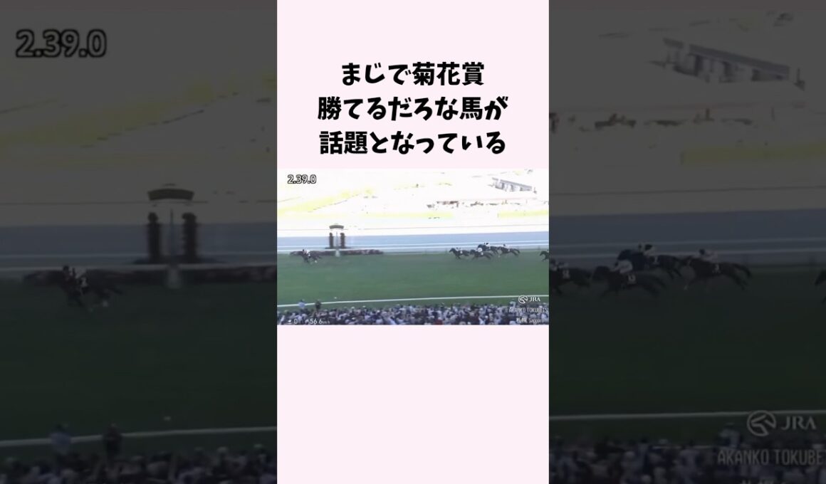 まじで菊花賞勝てるだろな馬が話題となっている　#競馬　#競馬予想　#ダノンヒストリー　#菊花賞　#shorts