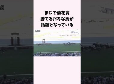 まじで菊花賞勝てるだろな馬が話題となっている　#競馬　#競馬予想　#ダノンヒストリー　#菊花賞　#shorts
