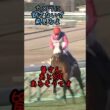 かっこいいタバルになる前の幼いタバルの有馬記念2# #競馬 #競馬好き #馬#馬好き#メイショウタバル#武豊#有馬記念