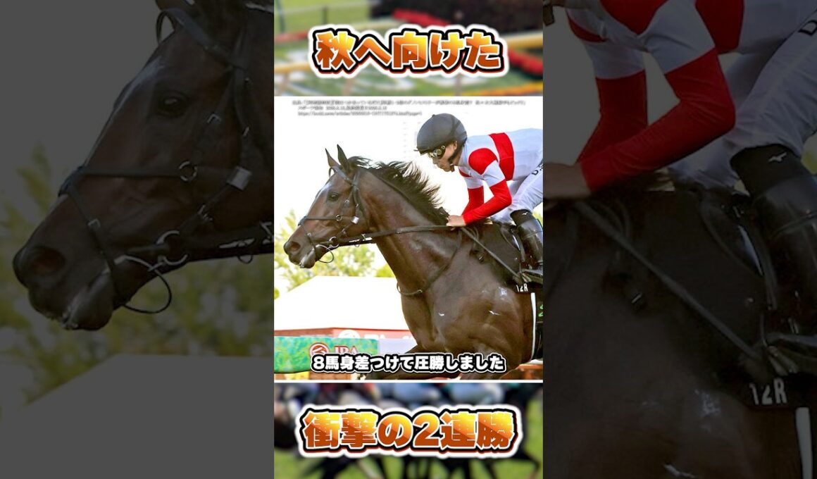 【阿寒湖特別2026】ダノンヒストリーがまたしても圧勝！ #shorts #競馬 #競馬予想 #中央競馬 #ダノンヒストリー #ボンドガール #ダノンベルーガ #ロブチェン #菊花賞 #佐々木大輔