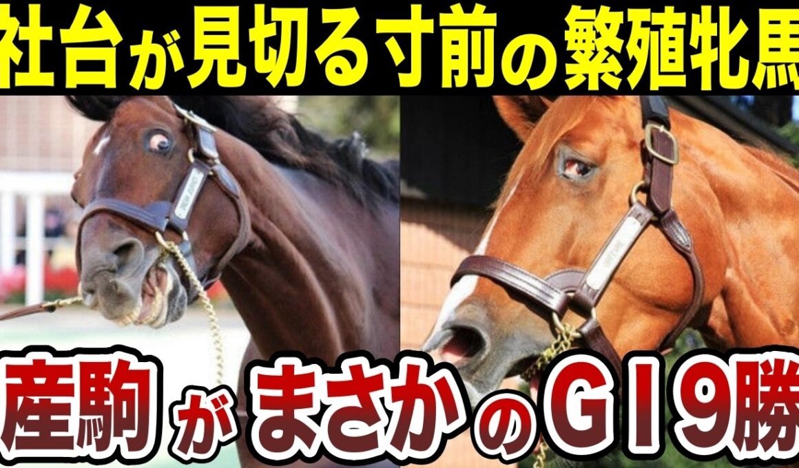 あと25日遅ければ、オルフェーヴルは存在しなかった？母が売られる寸前の逆転劇