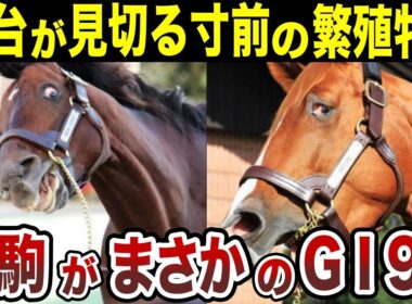 あと25日遅ければ、オルフェーヴルは存在しなかった？母が売られる寸前の逆転劇