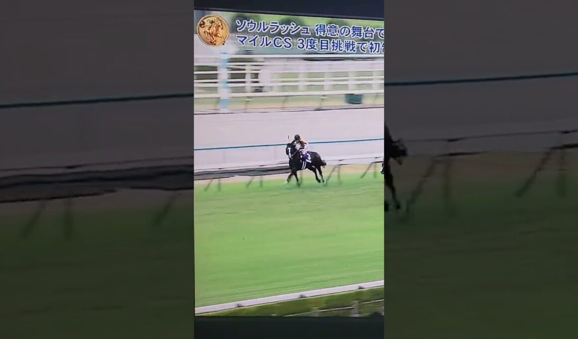 【マイルCS】JRA、団野大成の“早すぎガッツポーズ”に過怠金5万円　#団野大成 #ソウルラッシュ#マイルＣＳ　#過怠金5万円　　　#ガッツポーズ　#shorts