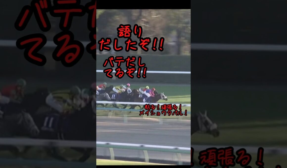 かっこいいタバルになる前の幼いタバルの有馬記念3# #競馬 #競馬好き #馬#馬好き#メイショウタバル#ダノンデサイル#武豊#有馬記念