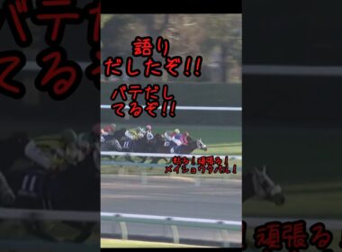 かっこいいタバルになる前の幼いタバルの有馬記念3# #競馬 #競馬好き #馬#馬好き#メイショウタバル#ダノンデサイル#武豊#有馬記念