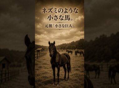 ネズミのように小さな馬が、日本競馬の頂点へ――この名馬は誰？